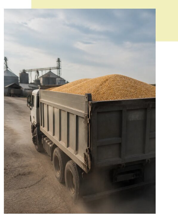 Перевозка сельхозпродукции навалом в Колпино по цене от 3095 р. | Агросервис-Клп